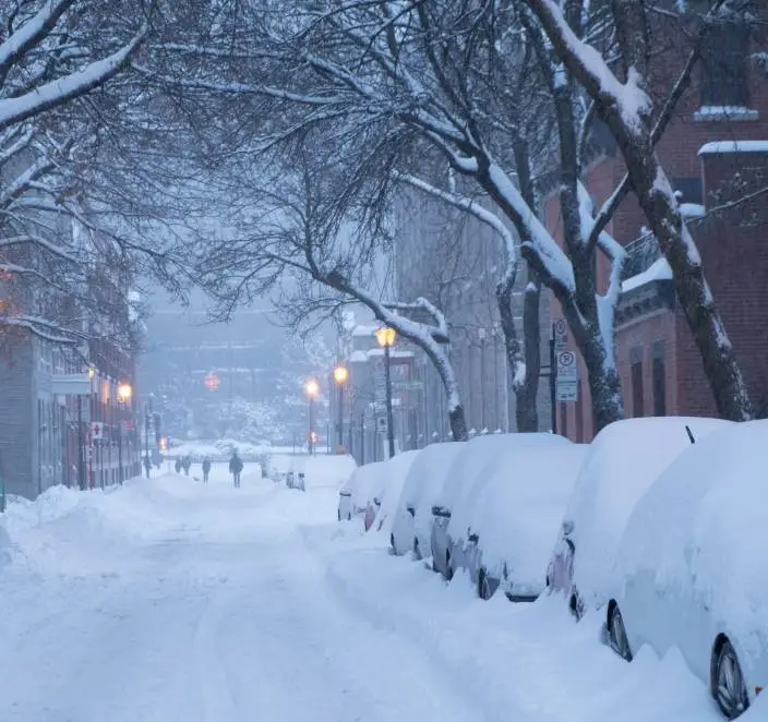 Rue résidentielle après une bordée de neige, au petit matin
